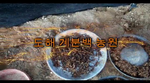 도해 계분백 농원