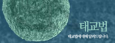 태교법